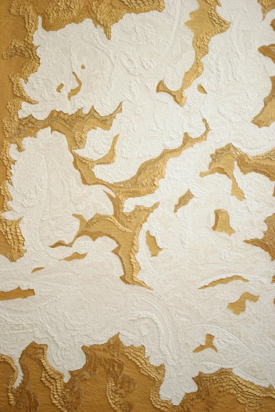 Portfolio bas reliefs papier or écailles dorées vanessa campos