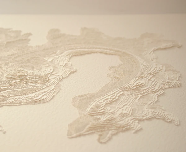 Portfolio vanessa campos papiers sculptés bas reliefs papier incisé monochrome blanc