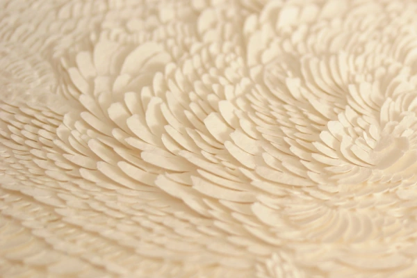 bas relief papier bmanc vanessa campos monochrome