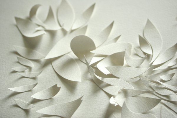 Portfolio papier sculpté blanc vanessa campos